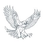 Tatuaggio Aquila