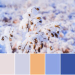 winter palette