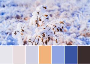 winter palette